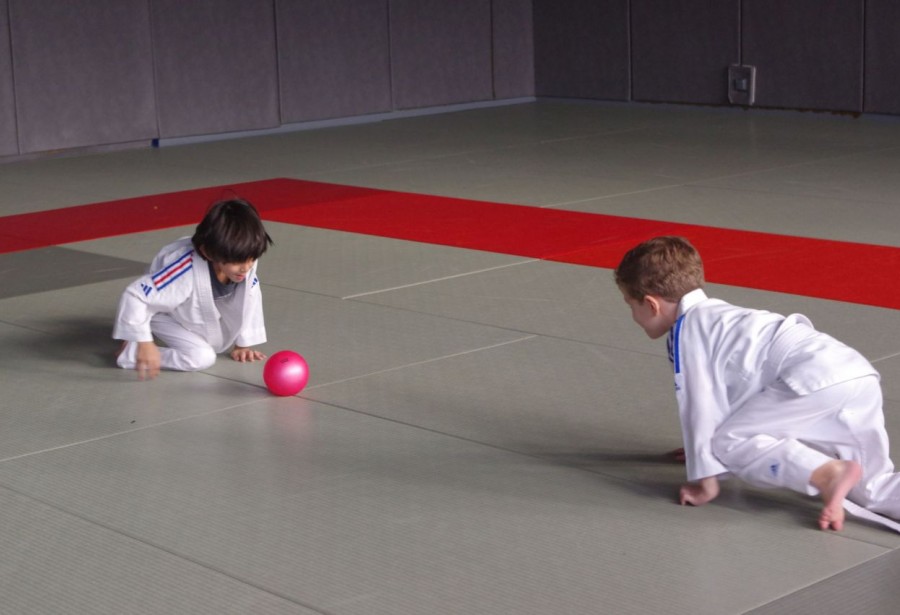 Saison 2023 2024 : inscriptions pour le Judo éveil ( 4 -5 ans)